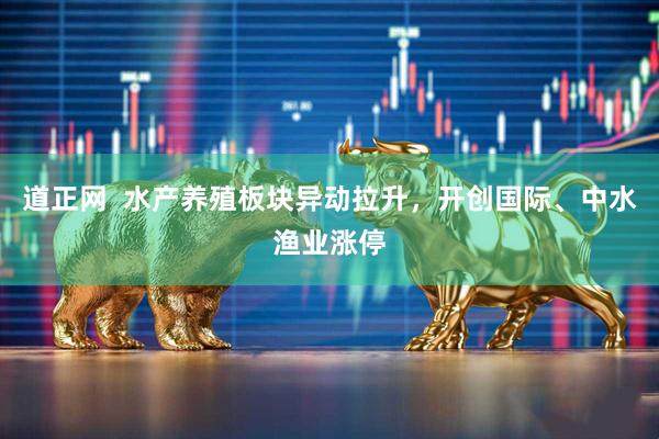 道正网  水产养殖板块异动拉升，开创国际、中水渔业涨停