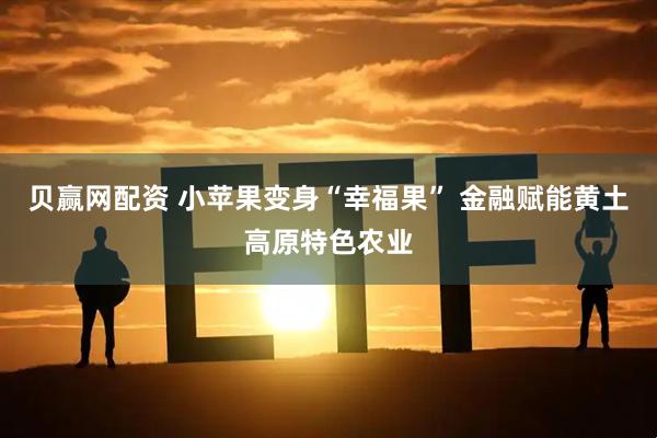 贝赢网配资 小苹果变身“幸福果” 金融赋能黄土高原特色农业