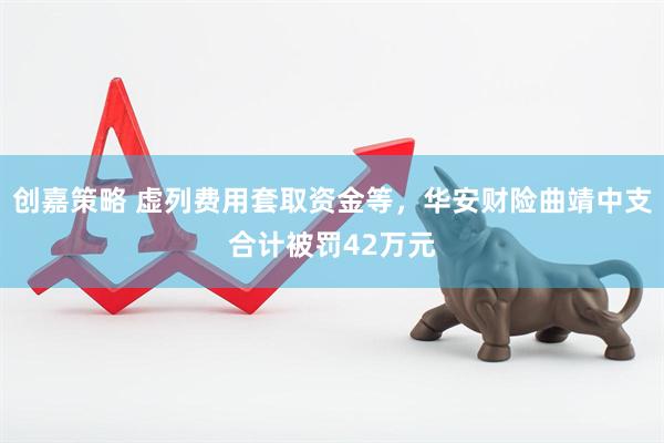 创嘉策略 虚列费用套取资金等，华安财险曲靖中支合计被罚42万元