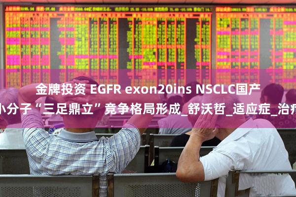 金牌投资 EGFR exon20ins NSCLC国产小分子“三足鼎立”竞争格局形成_舒沃哲_适应症_治疗