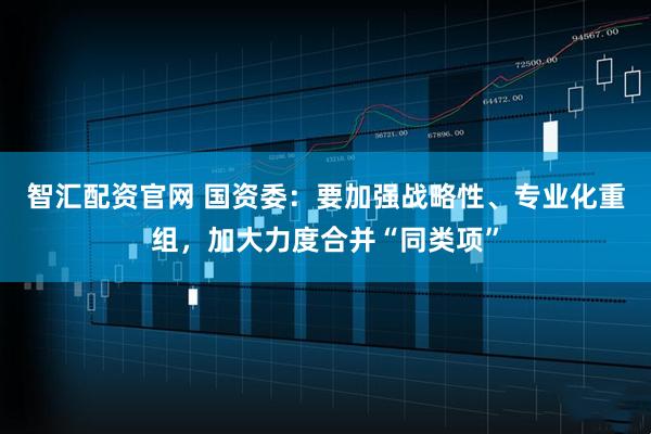 智汇配资官网 国资委：要加强战略性、专业化重组，加大力度合并“同类项”