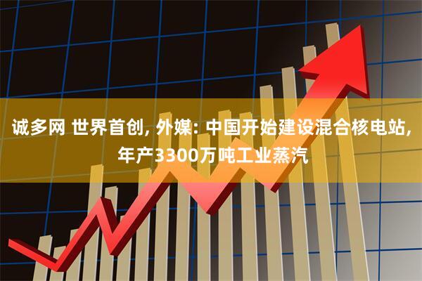 诚多网 世界首创, 外媒: 中国开始建设混合核电站, 年产3300万吨工业蒸汽